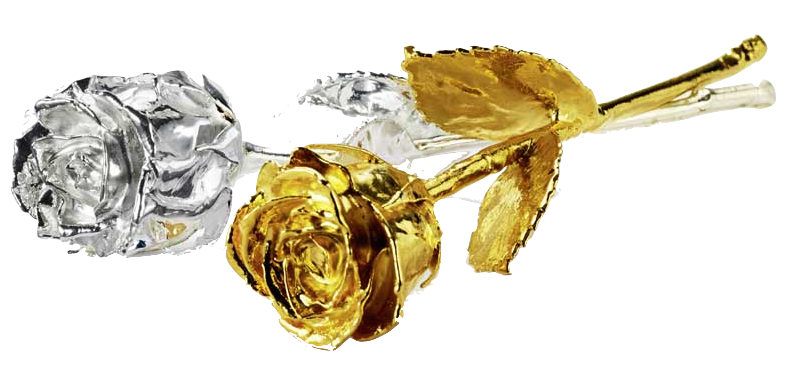 photo of gold and silver plated roses
