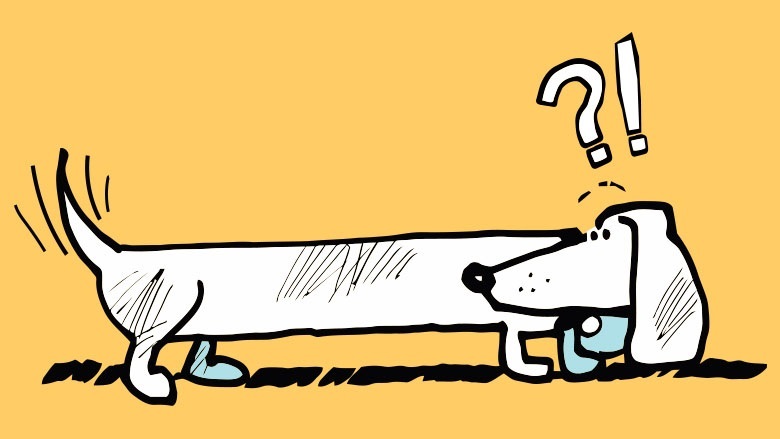 cartoon image of tail wagging the dog