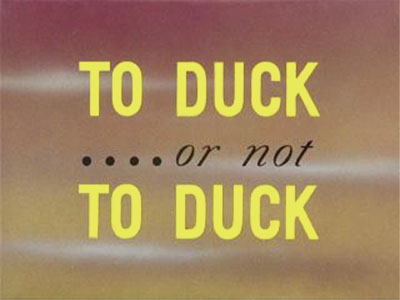 graphic image of title To Duck or not To Duck