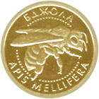 Greek gold coin portraying bee