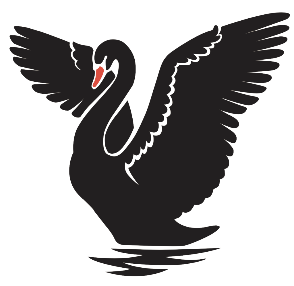 graphic illustration of a black swan