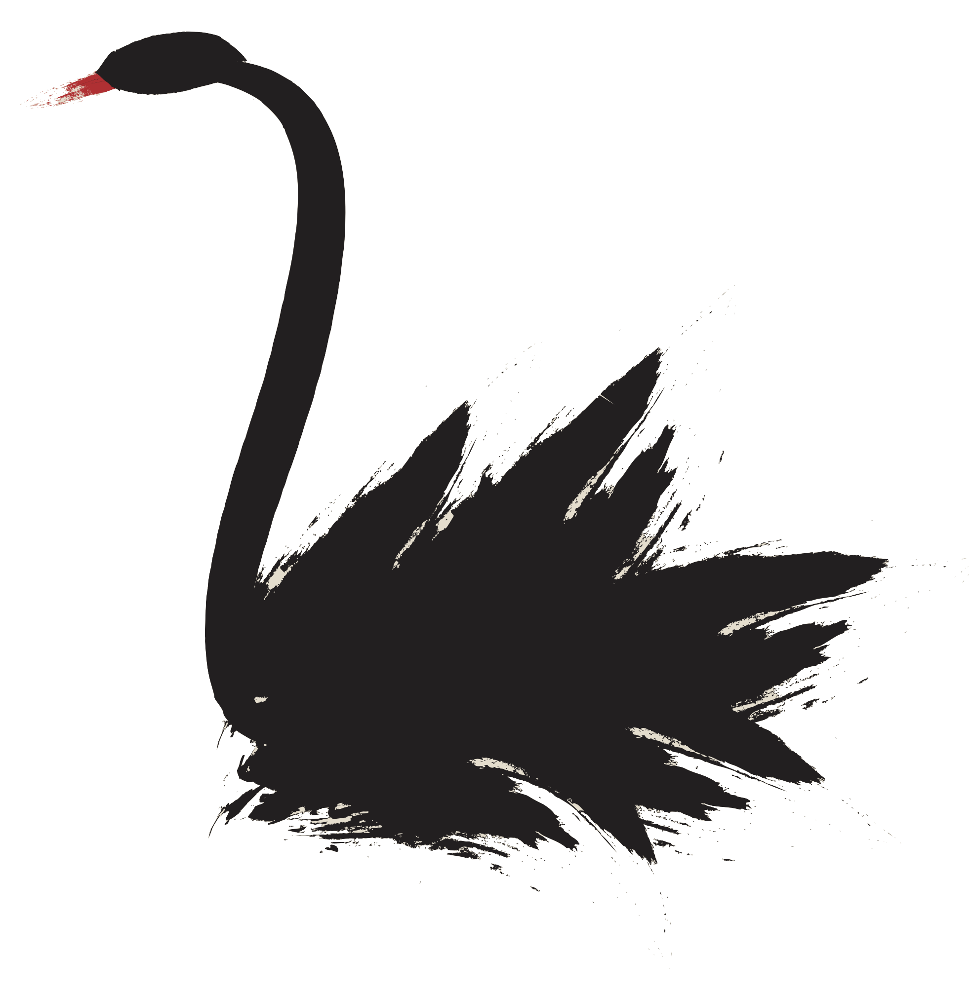 artistic ink rendering of black swan