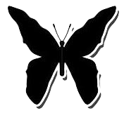 artist rendering of a butterfly black and white