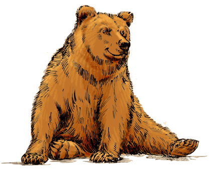 graphic image of a golden bear