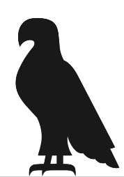 image of black hawk in profile