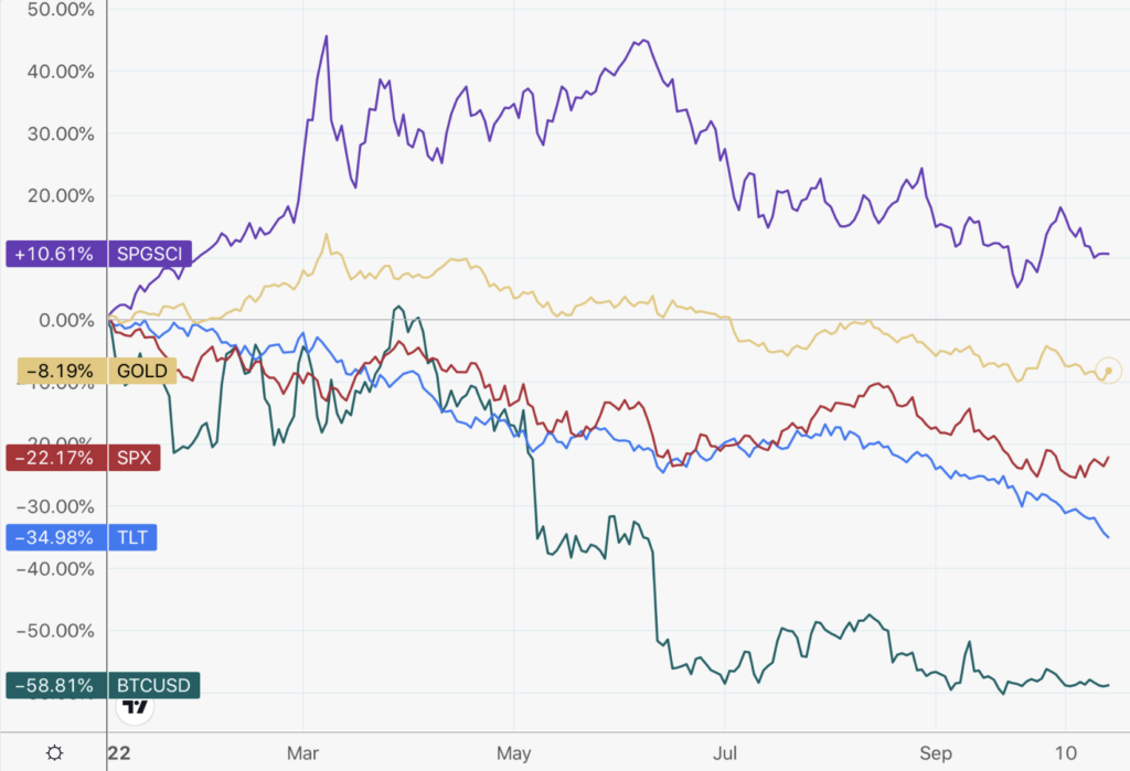 overlay chart showing the performance year to date for commodities, gold, stocks, bonds and bitcoin