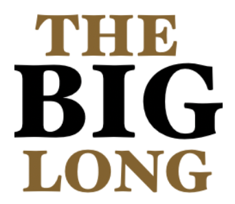 grpahic representation of the Big Long