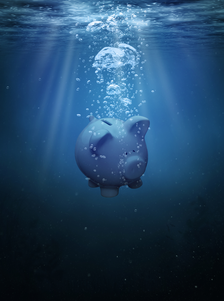graphic image of an underwater piggy bank