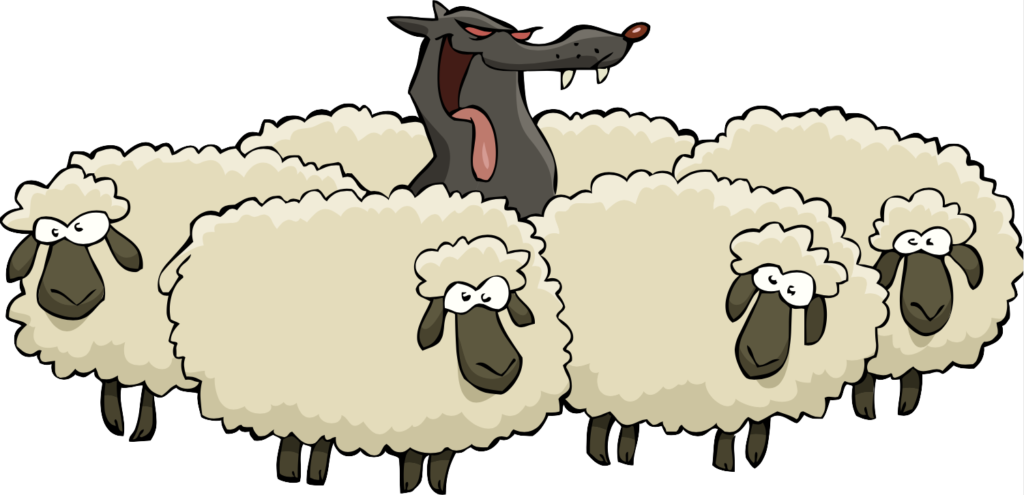 graphic showing wolf in the middle of a flock of sheep all with their backs turned to the danger